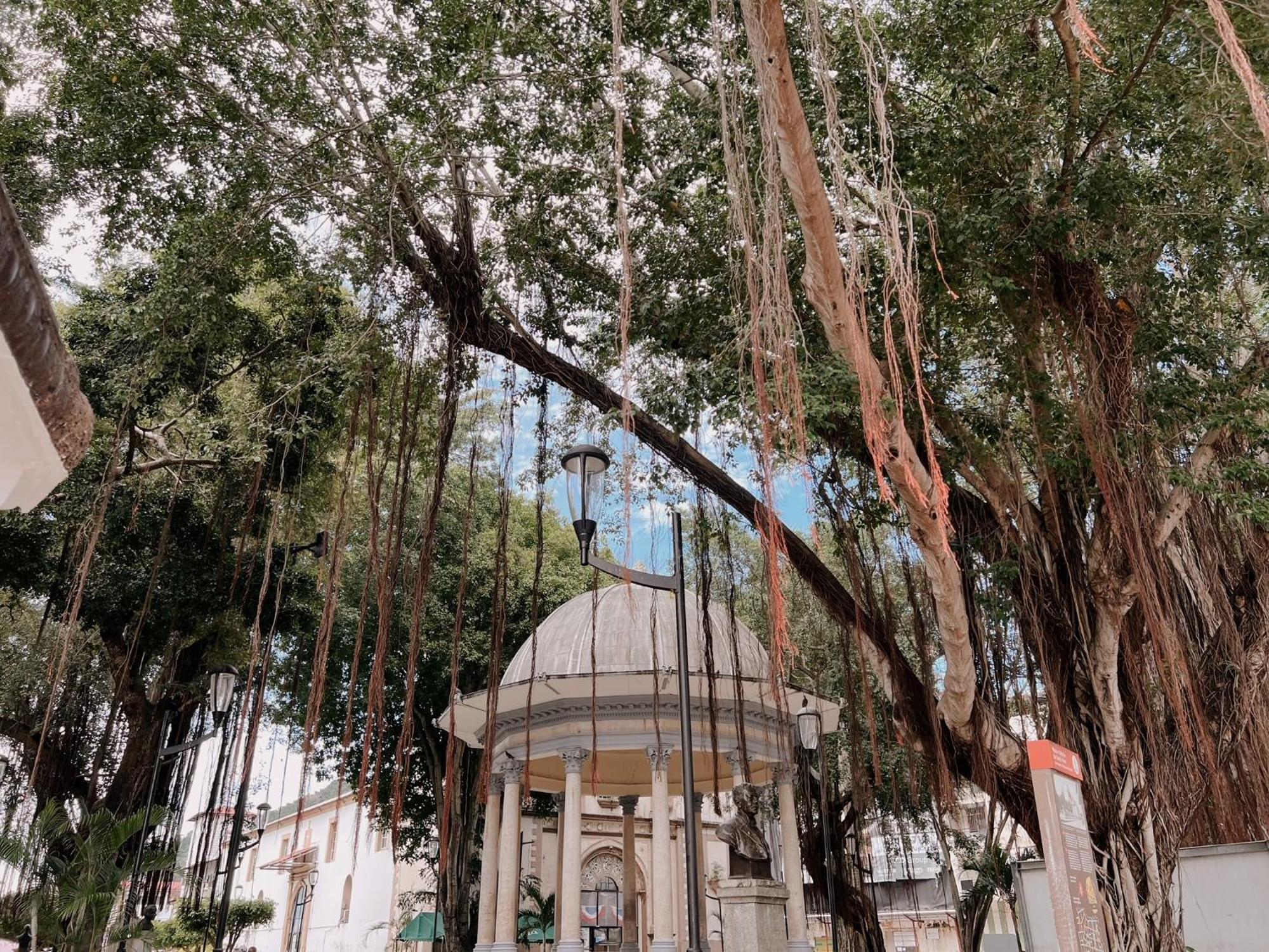 Maison Boheme - La Manzana Panama Esterno foto
